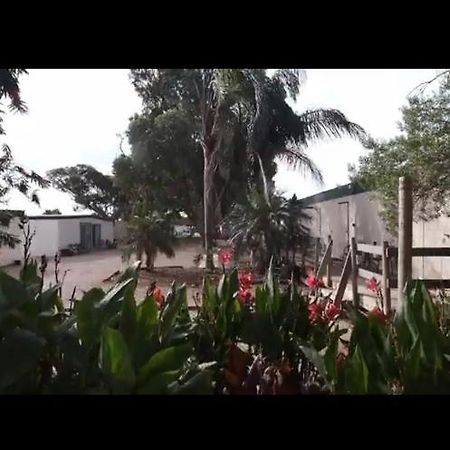 A1Cabins Hotel Ceduna Bagian luar foto