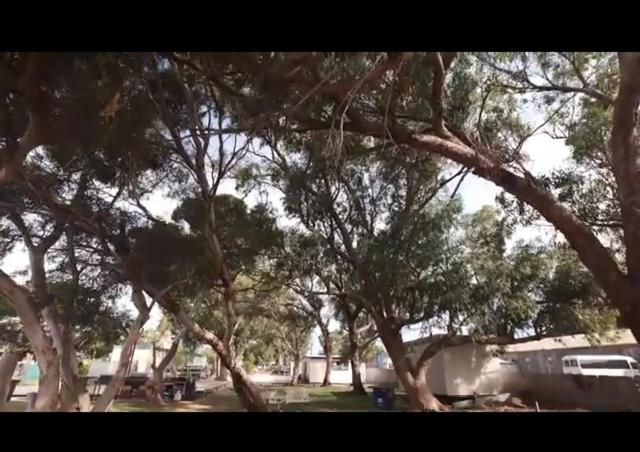A1Cabins Hotel Ceduna Bagian luar foto