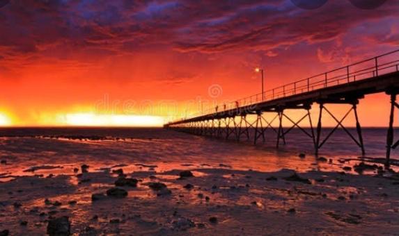 A1Cabins Hotel Ceduna Bagian luar foto